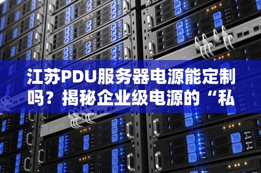 江苏PDU服务器电源能定制吗？揭秘企业级电源的“私人订制”秘籍！