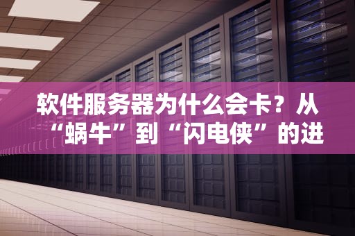 软件服务器为什么会卡？从“蜗牛”到“闪电侠”的进化指南