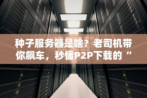 种子服务器是啥？老司机带你飙车，秒懂P2P下载的“灵魂引擎”！