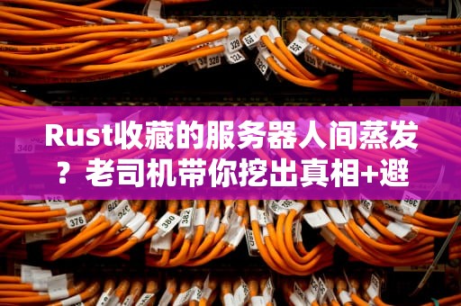 Rust收藏的服务器人间蒸发？老司机带你挖出真相+避坑指南！