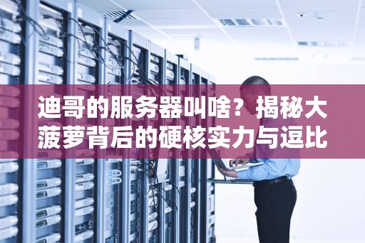 迪哥的服务器叫啥？揭秘大菠萝背后的硬核实力与逗比灵魂！