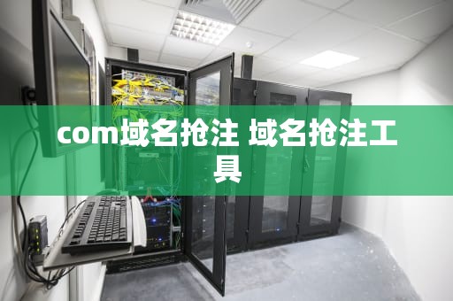 com域名抢注 域名抢注工具