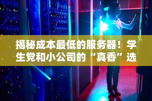 揭秘成本最低的服务器！学生党和小公司的“真香”选择