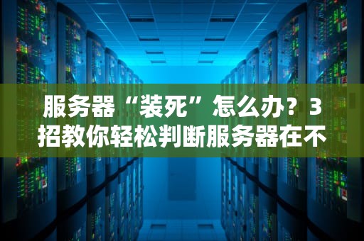 服务器“装死”怎么办？3招教你轻松判断服务器在不在服务！