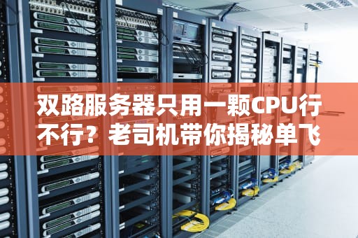 双路服务器只用一颗CPU行不行？老司机带你揭秘单飞的真相！