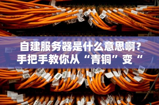 自建服务器是什么意思啊？手把手教你从“青铜”变“王者”的硬核指南！