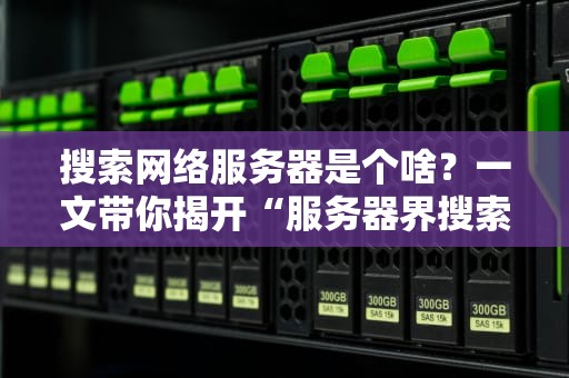 搜索网络服务器是个啥？一文带你揭开“服务器界搜索引擎”的神秘面纱！
