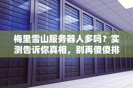 梅里雪山服务器人多吗？实测告诉你真相，别再傻傻排队了！