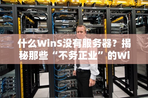 什么WinS没有服务器？揭秘那些“不务正业”的Windows服务！