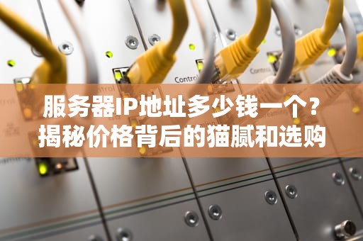 服务器IP地址多少钱一个？揭秘价格背后的猫腻和选购指南