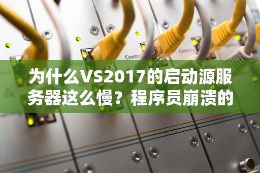 为什么VS2017的启动源服务器这么慢？程序员崩溃的真相竟是……