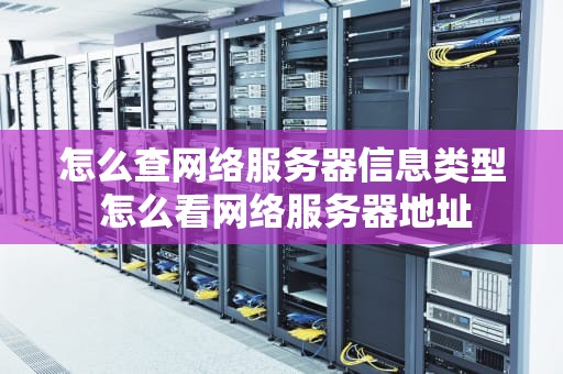 怎么查网络服务器信息类型 怎么看网络服务器地址
