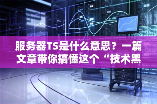 服务器TS是什么意思？一篇文章带你搞懂这个“技术黑话”！