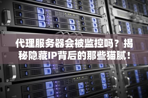 代理服务器会被监控吗？揭秘隐藏IP背后的那些猫腻！
