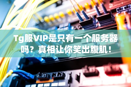 Tg服VIP是只有一个服务器吗？真相让你笑出腹肌！