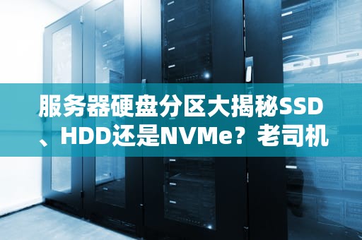服务器硬盘分区大揭秘SSD、HDD还是NVMe？老司机带你选对“仓库管理员”