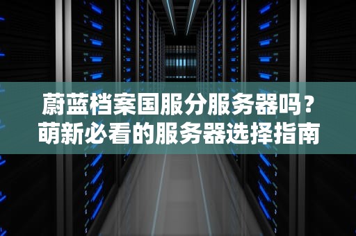 蔚蓝档案国服分服务器吗？萌新必看的服务器选择指南！