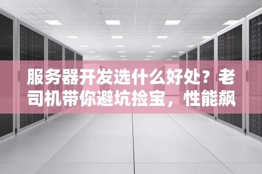 服务器开发选什么好处？老司机带你避坑捡宝，性能飙升不是梦！