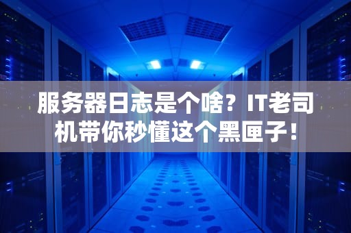 服务器日志是个啥？IT老司机带你秒懂这个黑匣子！