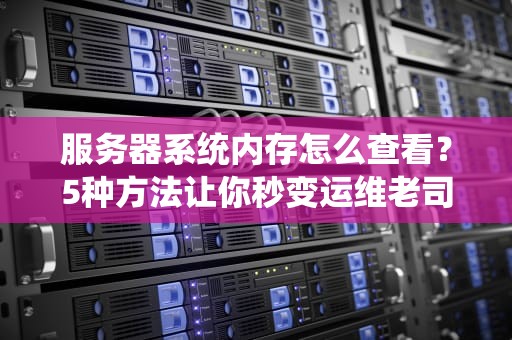 服务器系统内存怎么查看？5种方法让你秒变运维老司机！