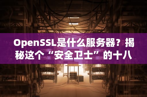 OpenSSL是什么服务器？揭秘这个“安全卫士”的十八般武艺！