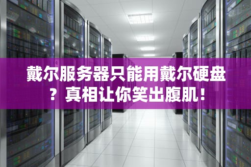 戴尔服务器只能用戴尔硬盘？真相让你笑出腹肌！