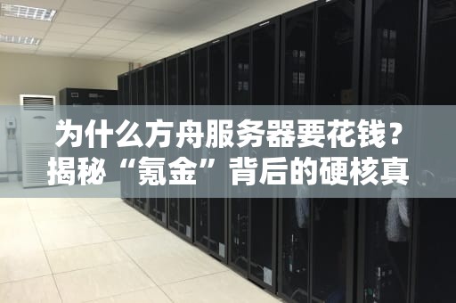 为什么方舟服务器要花钱？揭秘“氪金”背后的硬核真相！
