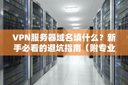 VPN服务器域名填什么？新手必看的避坑指南（附专业测评）