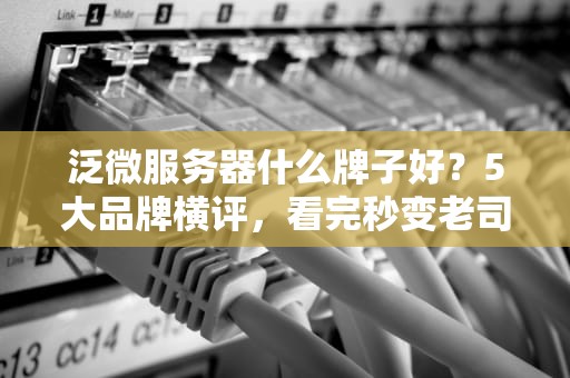 泛微服务器什么牌子好？5大品牌横评，看完秒变老司机！