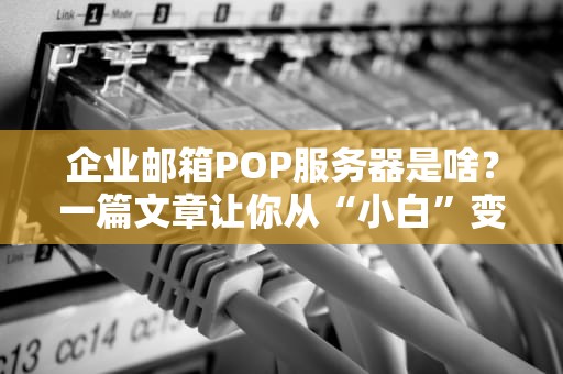 企业邮箱POP服务器是啥？一篇文章让你从“小白”变“大神”！