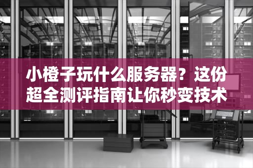 小橙子玩什么服务器？这份超全测评指南让你秒变技术大佬！