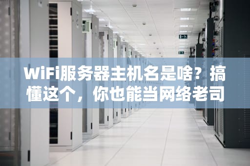 WiFi服务器主机名是啥？搞懂这个，你也能当网络老司机！