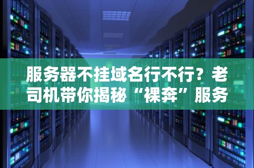服务器不挂域名行不行？老司机带你揭秘“裸奔”服务器的那些事儿！