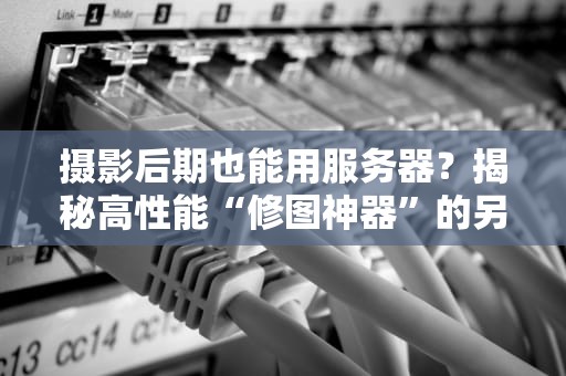 摄影后期也能用服务器？揭秘高性能“修图神器”的另类玩法！