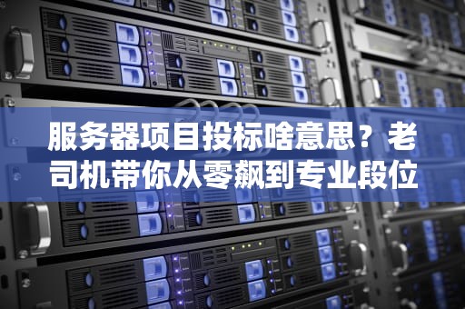服务器项目投标啥意思？老司机带你从零飙到专业段位！