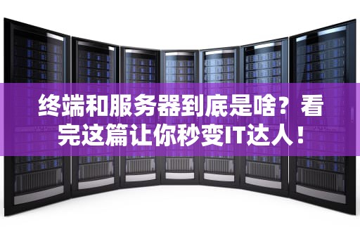终端和服务器到底是啥？看完这篇让你秒变IT达人！