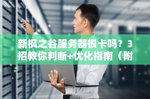 新枫之谷服务器很卡吗？3招教你判断+优化指南（附专业测评）
