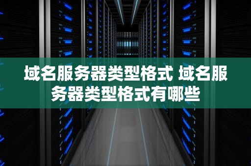 域名服务器类型格式 域名服务器类型格式有哪些