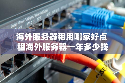 海外服务器租用哪家好点 租海外服务器一年多少钱
