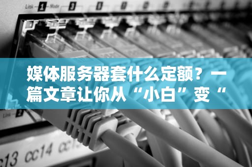 媒体服务器套什么定额？一篇文章让你从“小白”变“大神”！