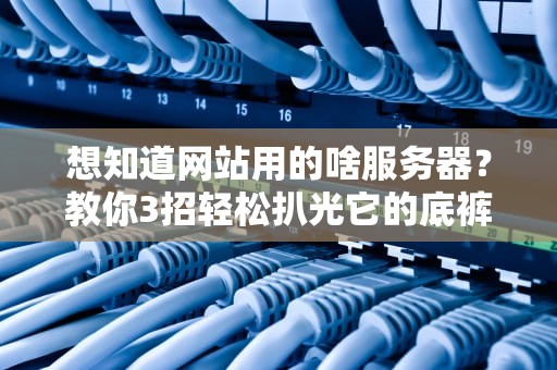 想知道网站用的啥服务器？教你3招轻松扒光它的底裤！