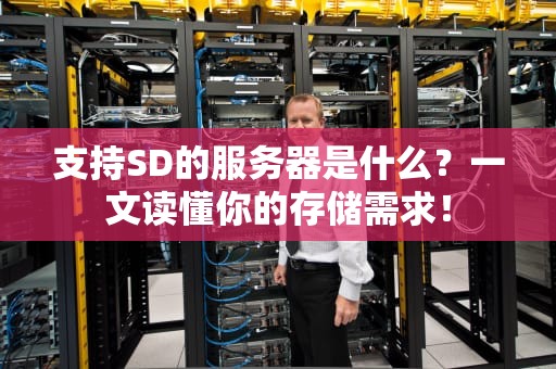 支持SD的服务器是什么？一文读懂你的存储需求！