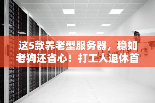 这5款养老型服务器，稳如老狗还省心！打工人退休首选