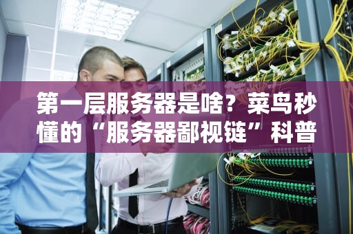 第一层服务器是啥？菜鸟秒懂的“服务器鄙视链”科普指南！