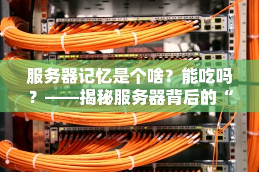 服务器记忆是个啥？能吃吗？——揭秘服务器背后的“金鱼脑”与“大象脑”