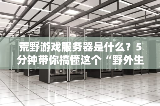 荒野游戏服务器是什么？5分钟带你搞懂这个“野外生存”的硬核科技！