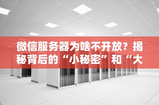 微信服务器为啥不开放？揭秘背后的“小秘密”和“大智慧”