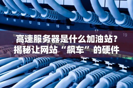 高速服务器是什么加油站？揭秘让网站“飙车”的硬件秘密！