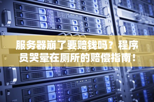 服务器崩了要赔钱吗？程序员哭晕在厕所的赔偿指南！