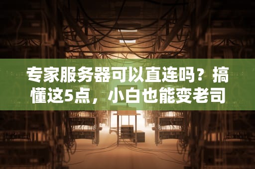 专家服务器可以直连吗？搞懂这5点，小白也能变老司机！